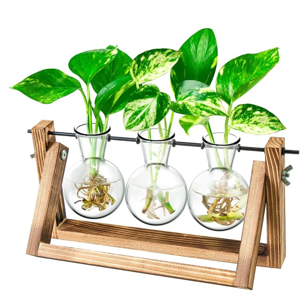 Ivolador Desktop Glass Planter Bulb Vase